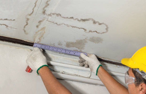 Reliable Water Damage contractor in Cedar Grove, WV by Water Damage Irwin